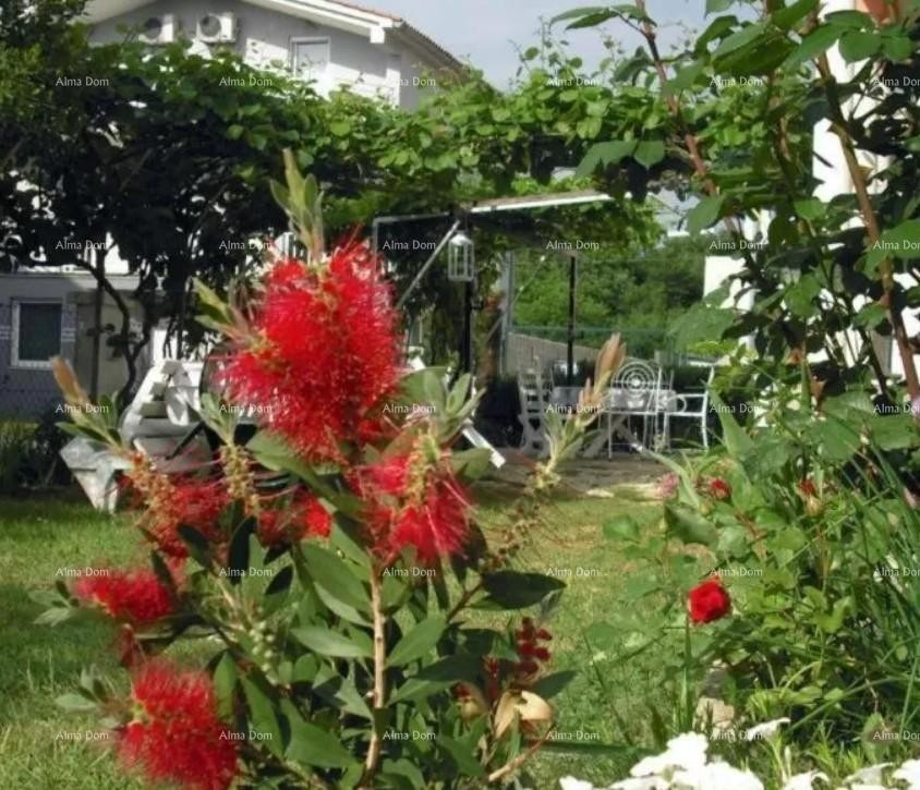 Частный дом с апартаментами! 12