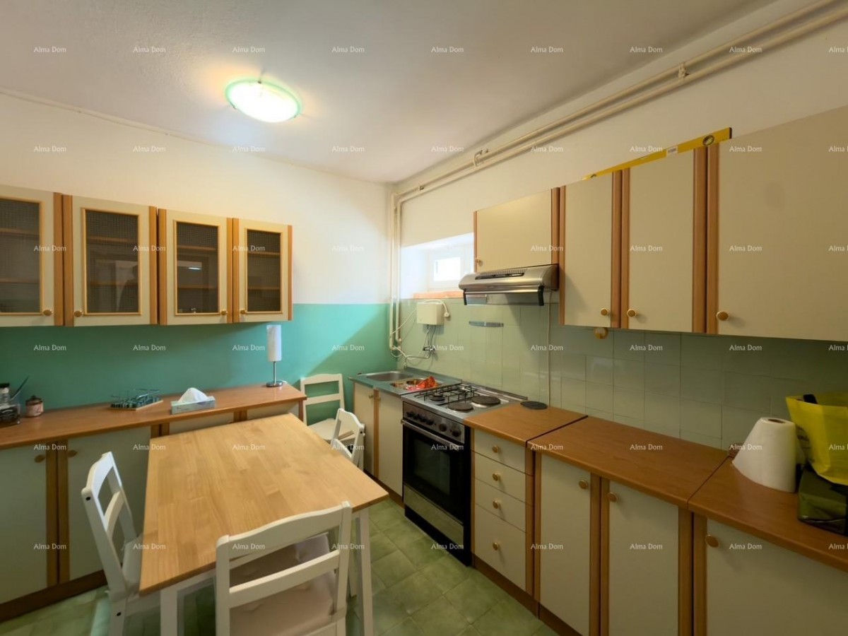 Ližnjan, renovated and fully furnished house with a garage and a cellar 44