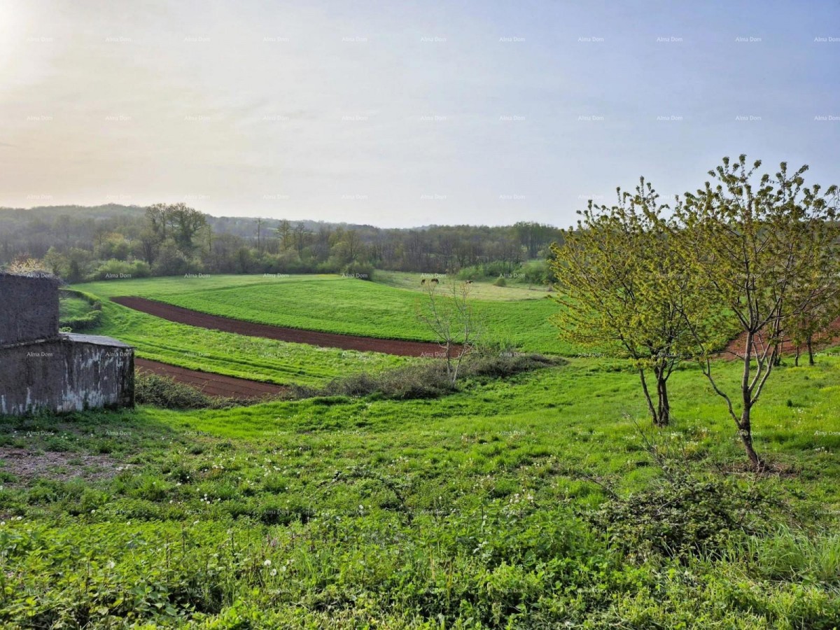 Građevinsko zemljište 1.730 m² –  Barban 3