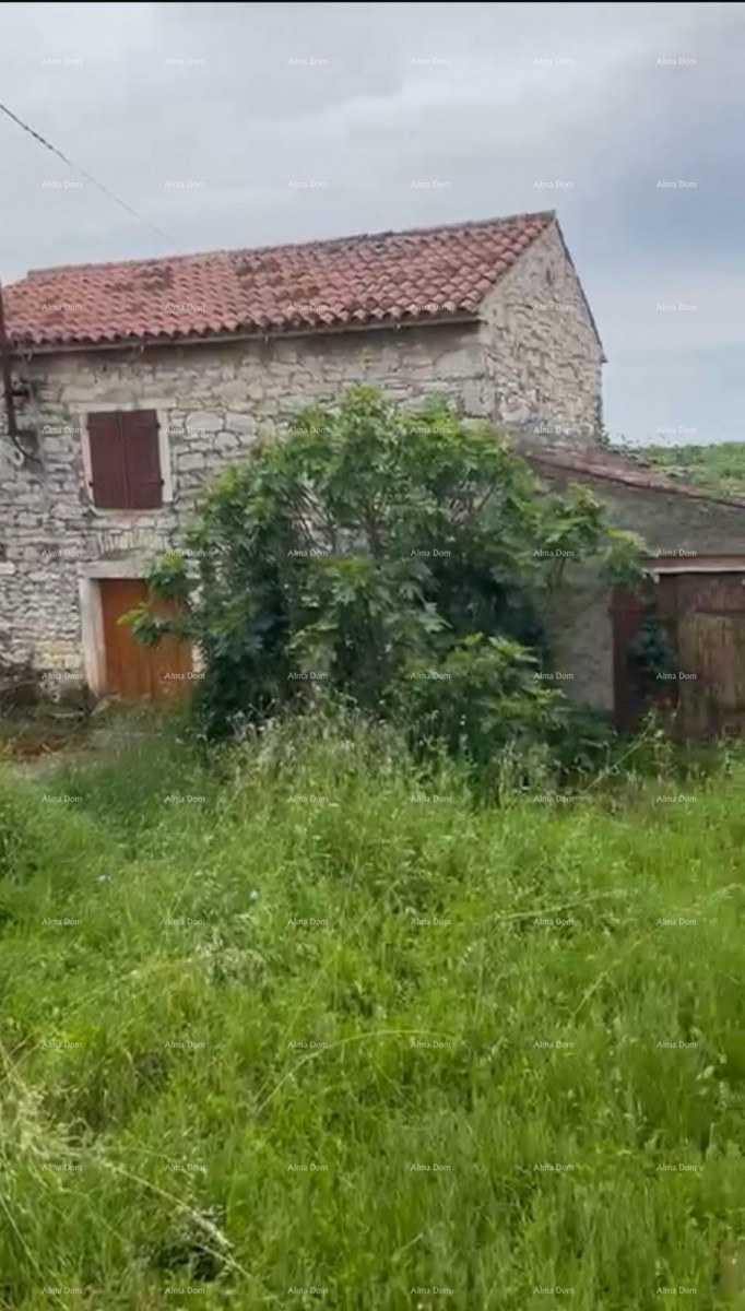 Umago, casa indipendente in pietra a 1200 m dal mare 1