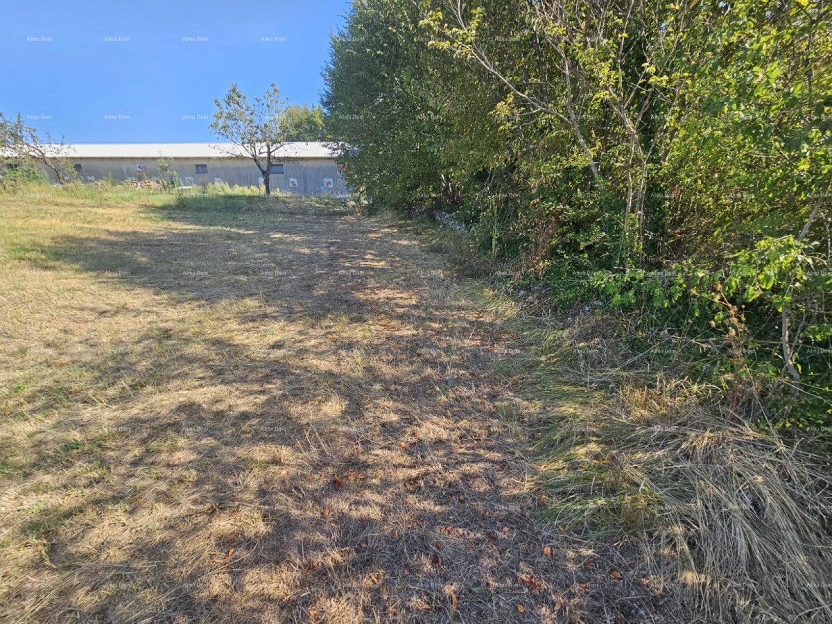 Prodaja građevinskog zemljišta, Žminj 4