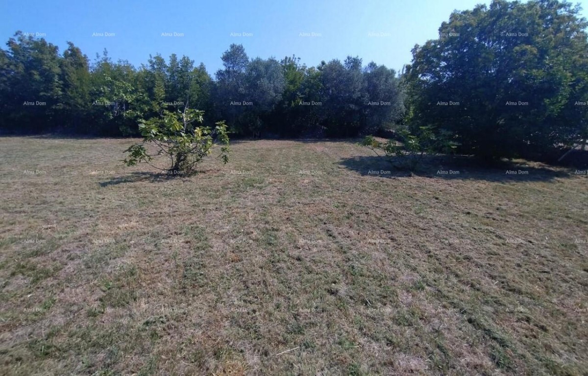 Rakalj, kamena kuća s 1.920 m² građevinskog zemljišta 5