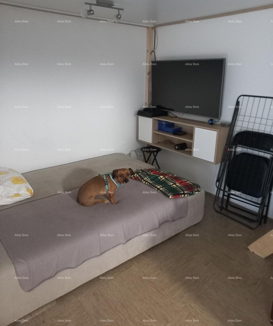 Apartma 32 m2 , Mareda 2