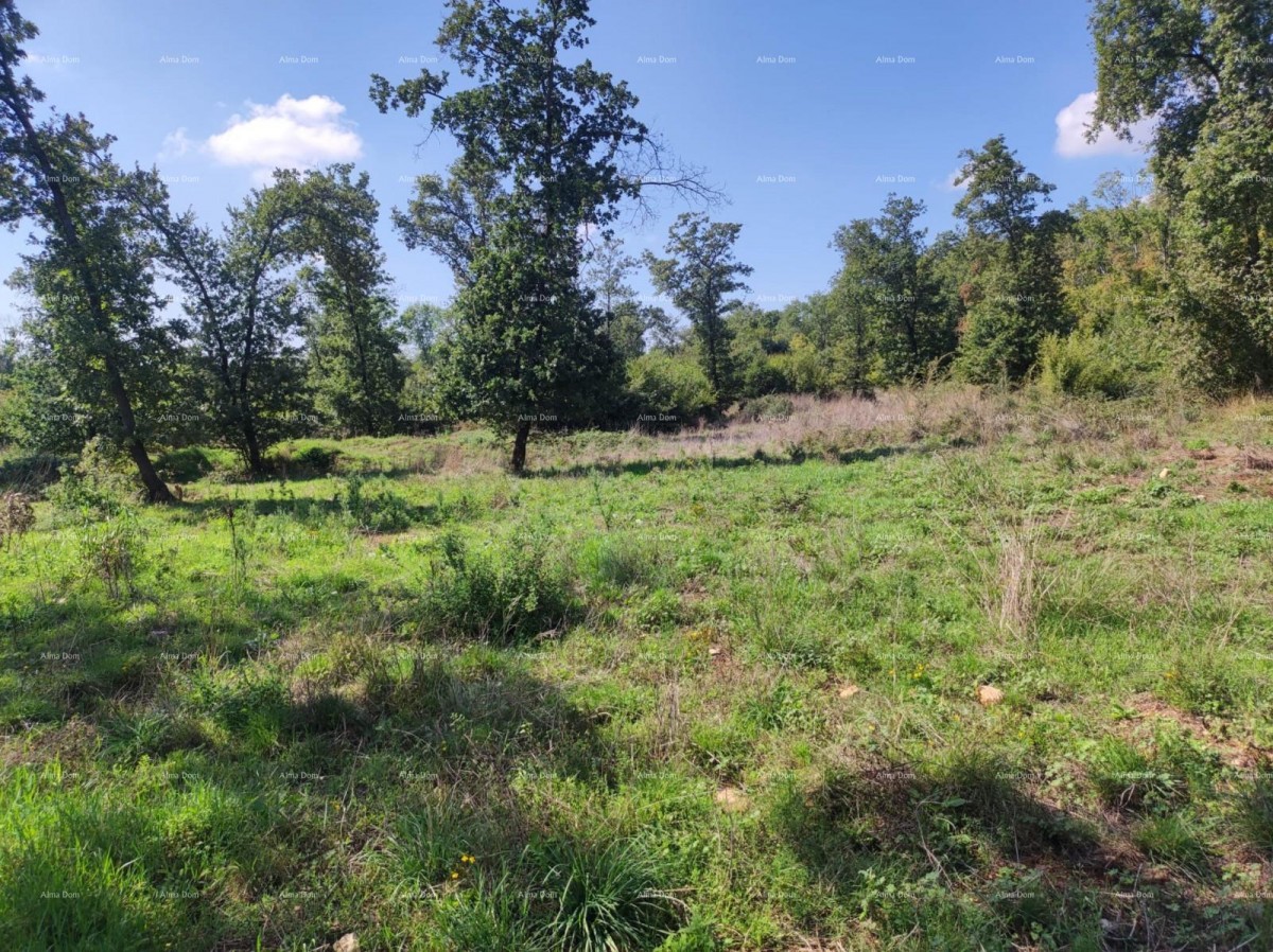 Sale - AGRICULTURAL land, Pula, Valtura! 1