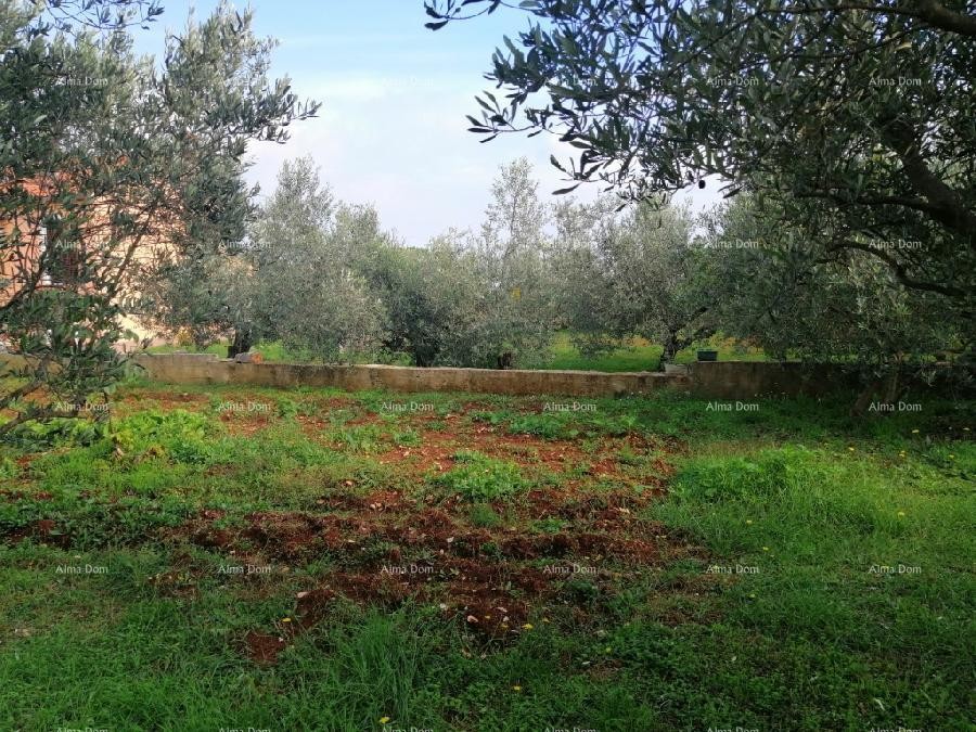 Marčana Vareški 17