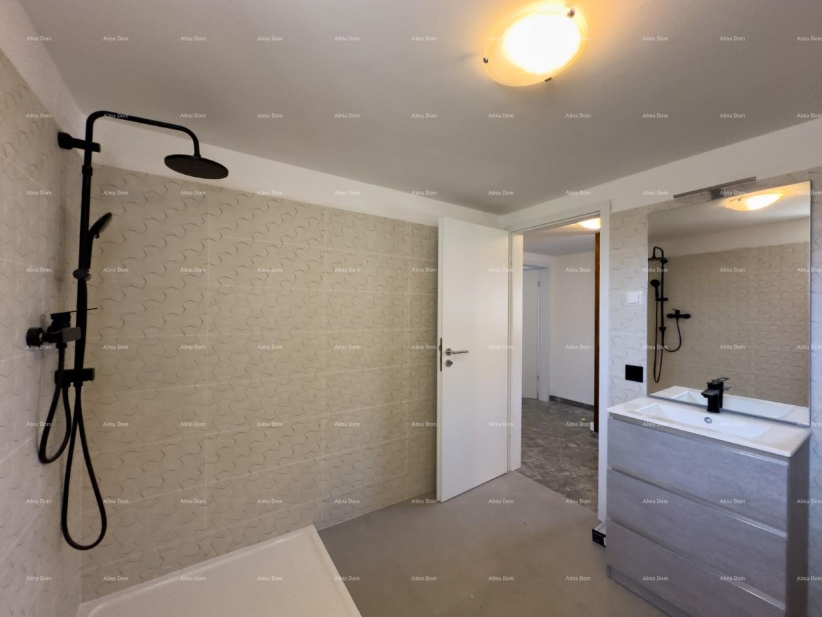 Prodajemo renoviranu Istarsku kamenu kuću u okolici Žminja! 6