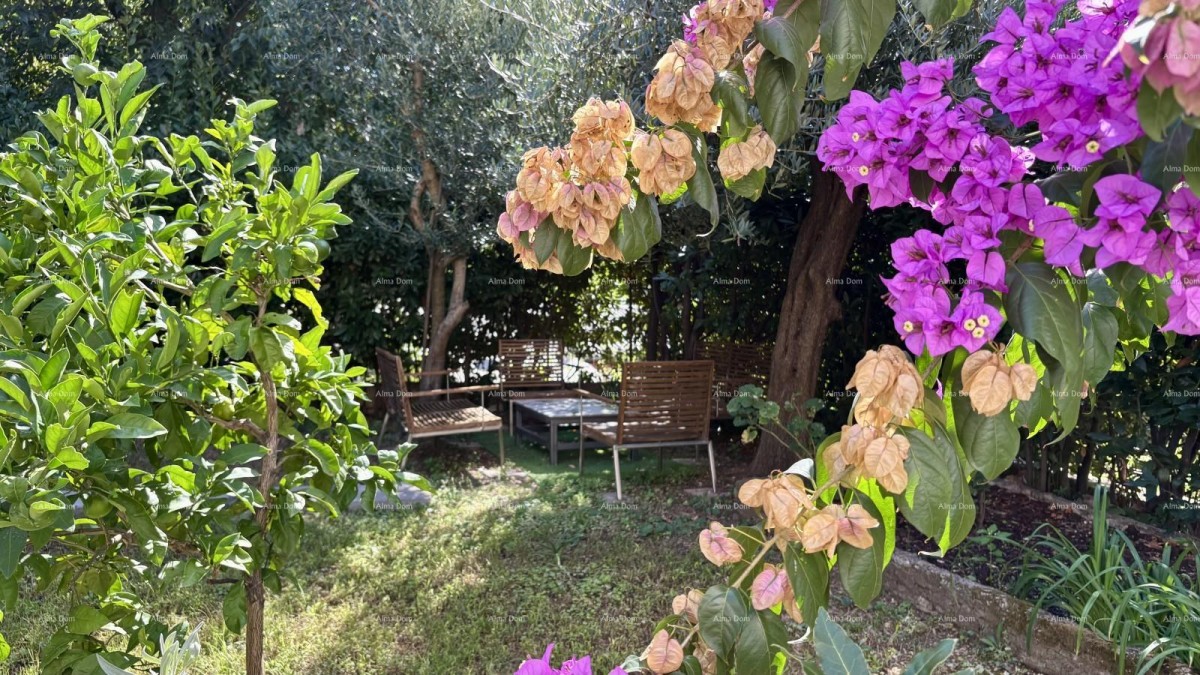 PULA, center – sale / apartment 55 m² with garden and parking space 19