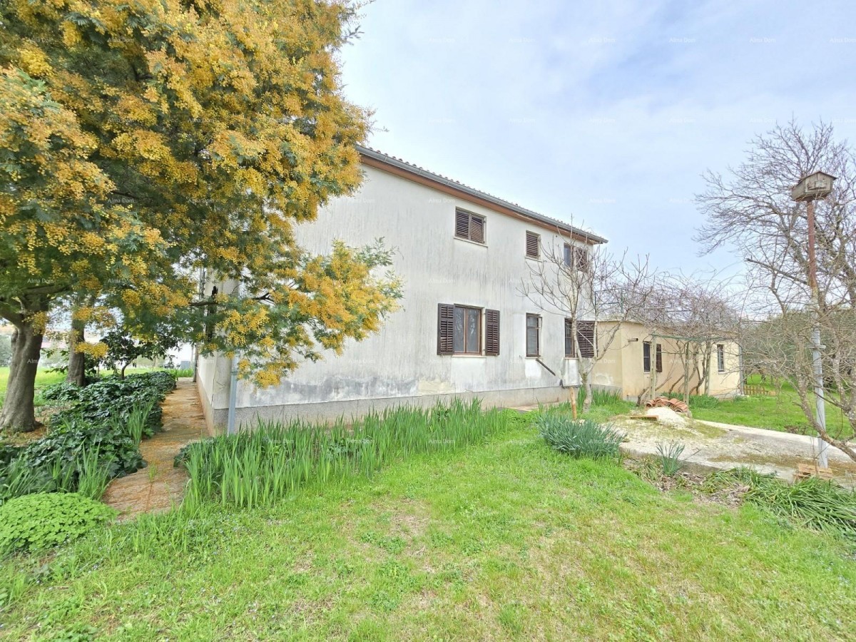 Prostrana hiša blizu Pule! Dva stanovanja - 2500 m² zemljišča! 1