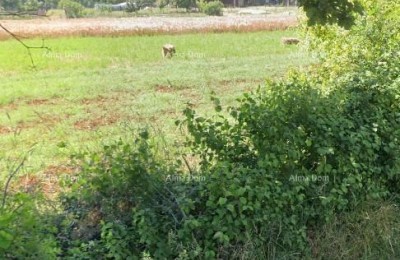 Please provide the title you would like me to translate into Russian.