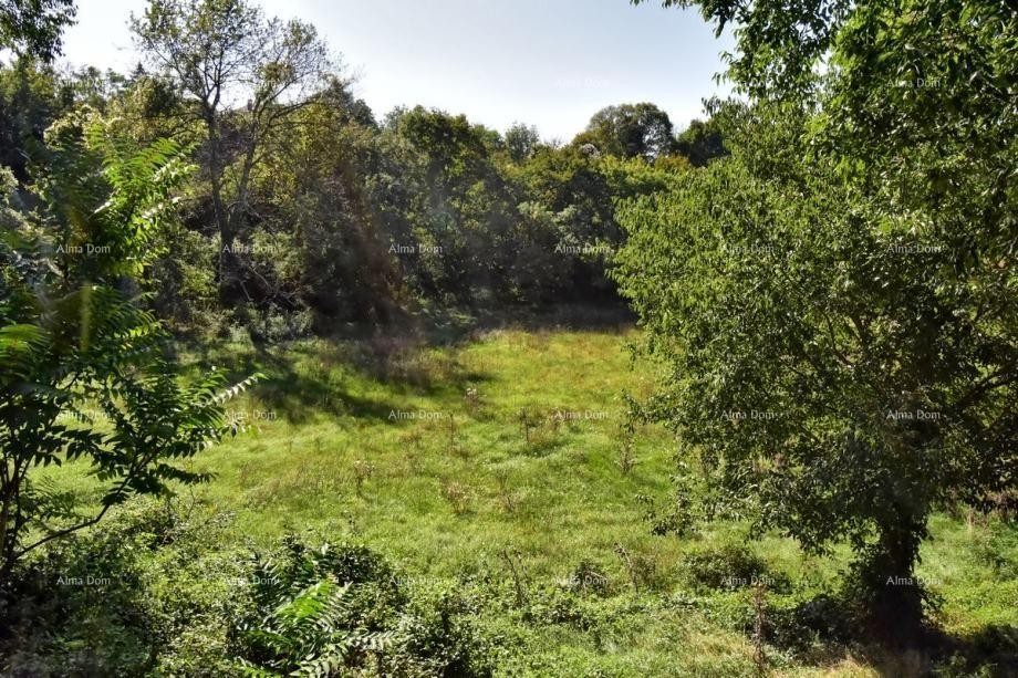 Plot Svetvinčenat 13