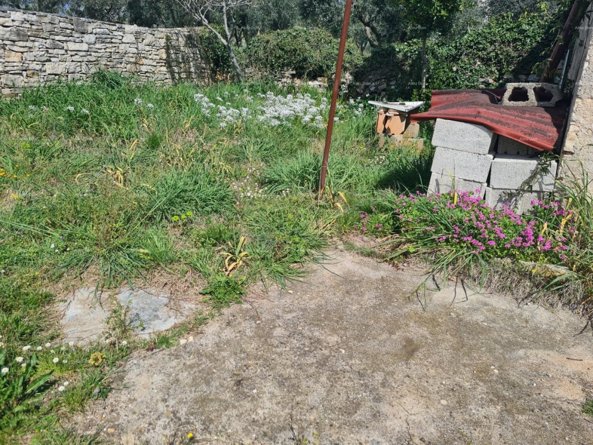 GALIŽANA – hiša z več stavbami in velikim potencialom za prenovo 31