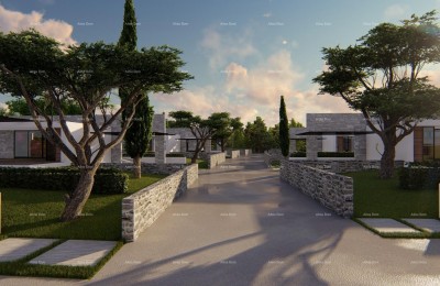 Project for the construction of 8 villas, near Vodnjan