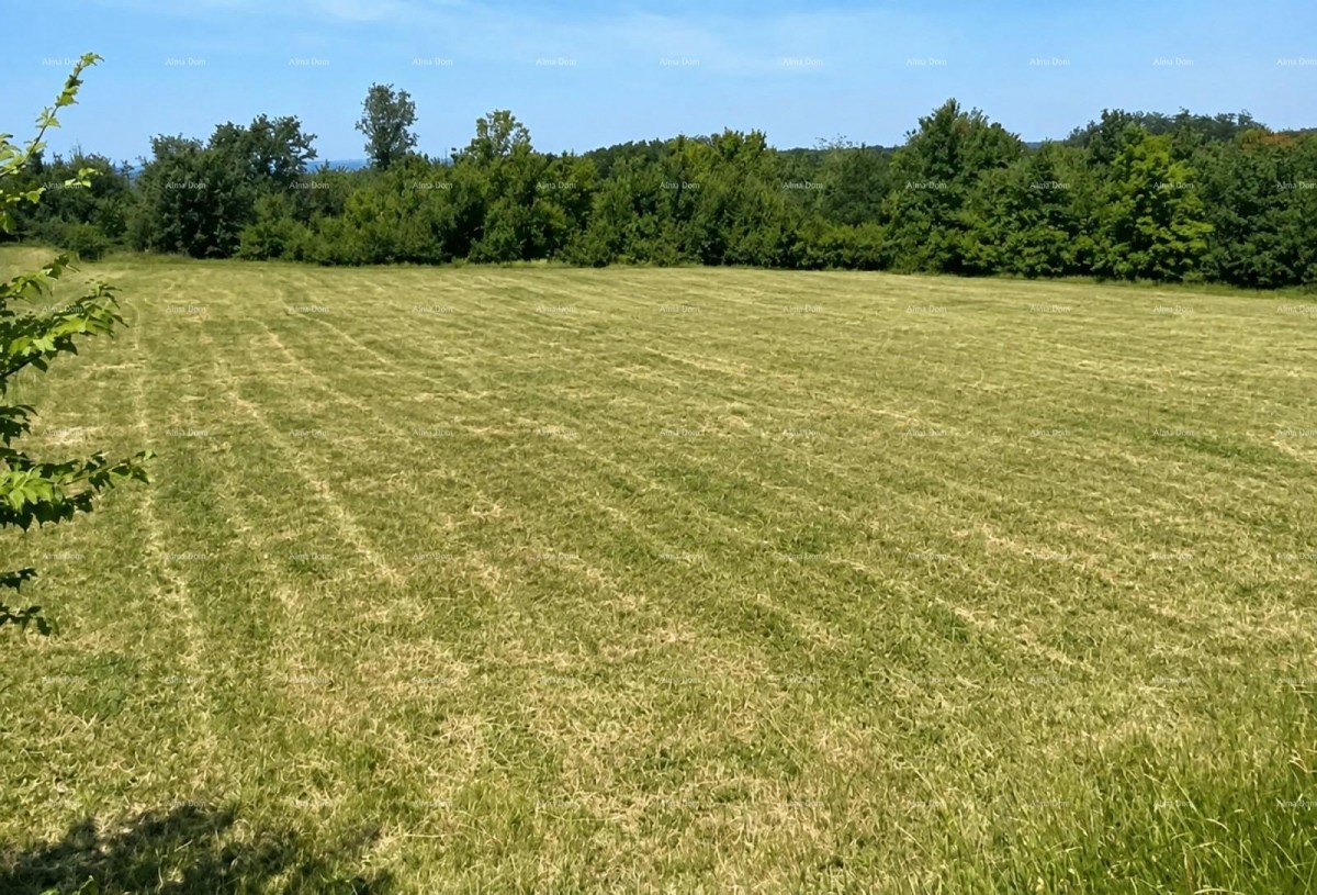 Tar, in vendita terreno edificabile di 1.539 m² 2