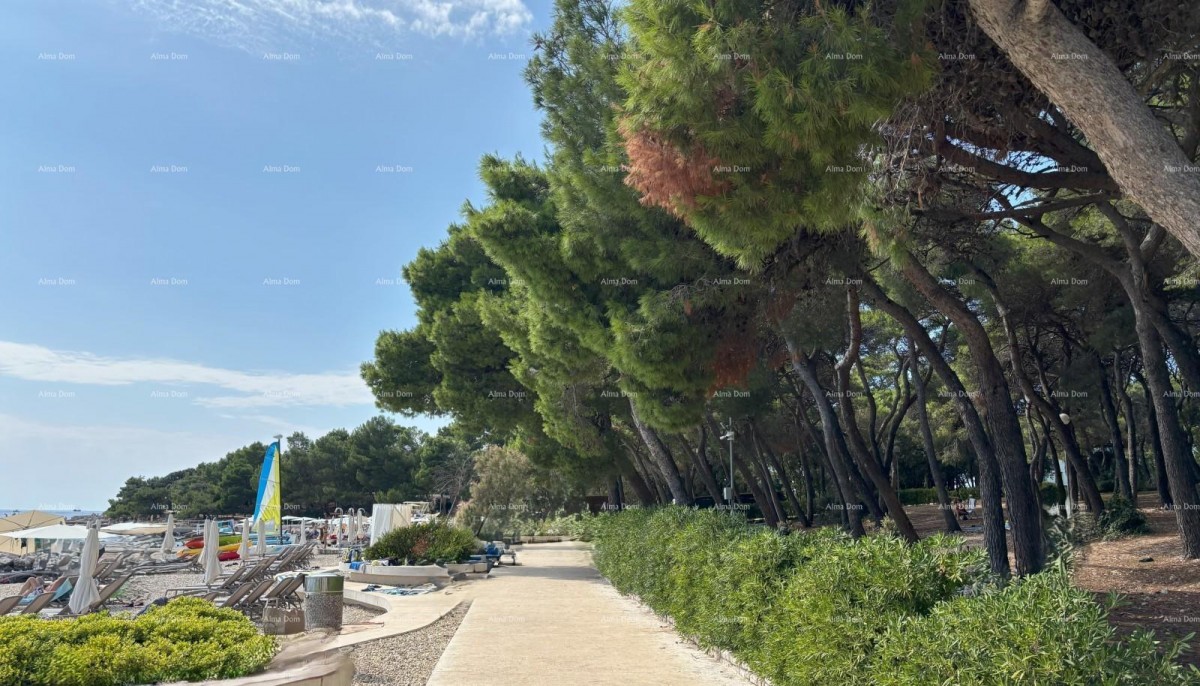 ROVIGNO - appartamento in vendita in un residence di lusso sul mare / S11 29