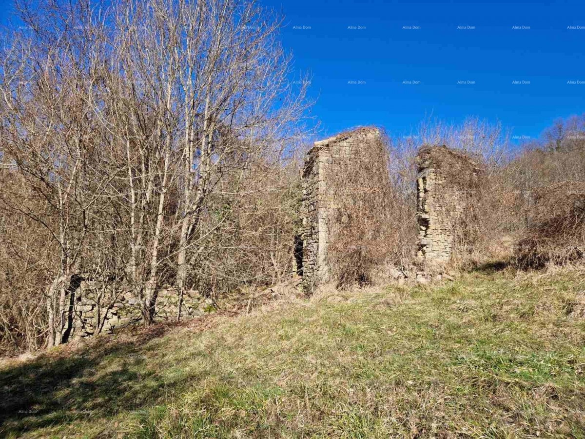 For Sale - Large Estate/Farm in Central Istria, Pazin! Investment Opportunity! 6