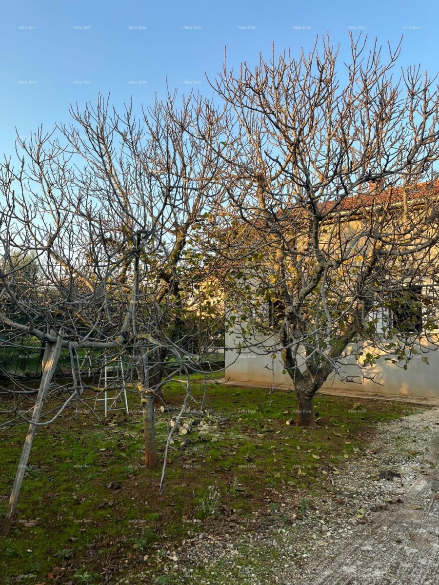 Prodaja samostojeće kuće u Fažani. 14