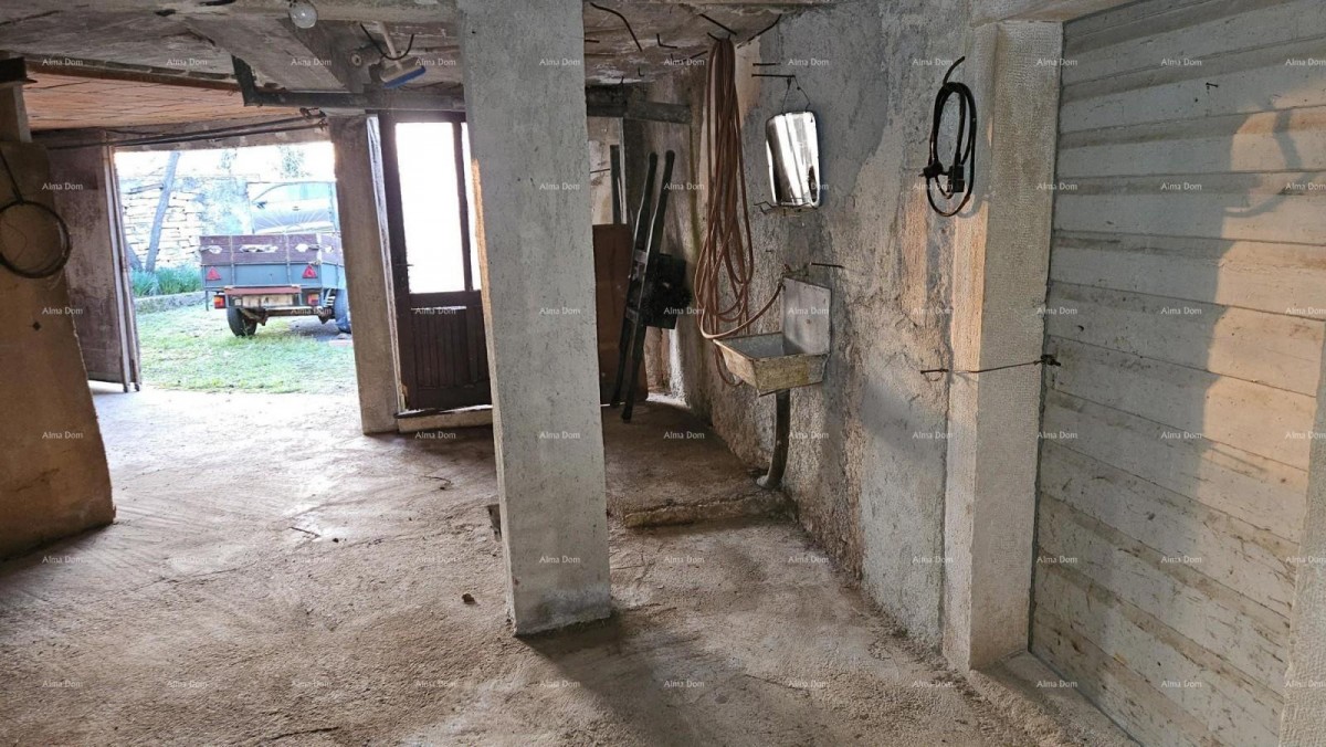 ŽMINJ (surroundings) - excellent stone house with a yard 10