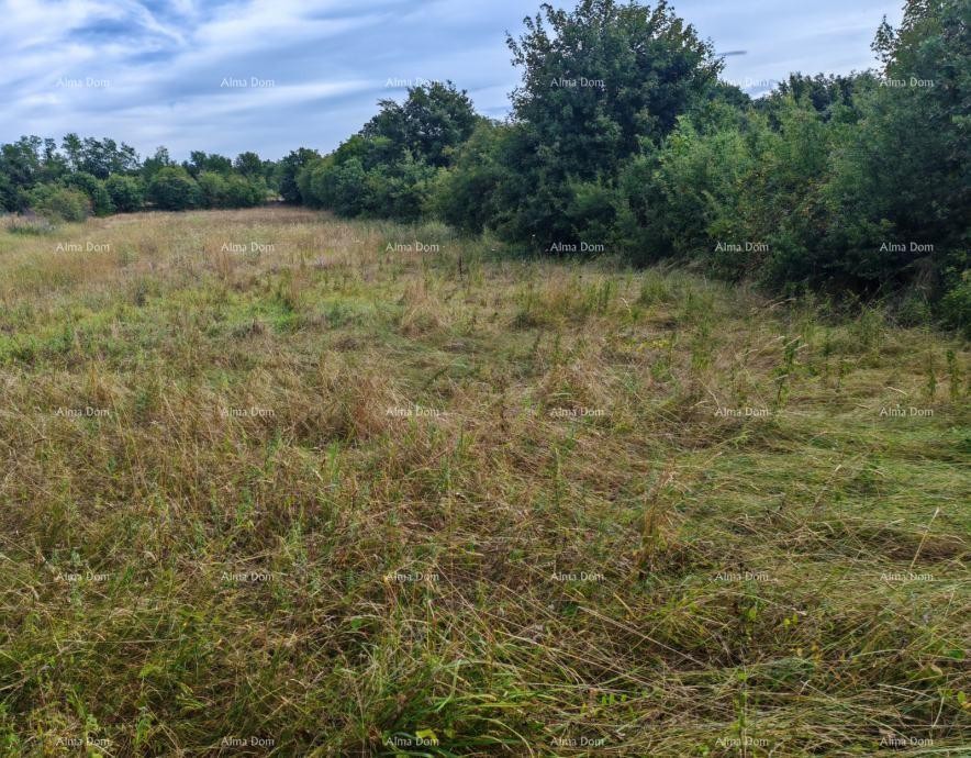 Building land with an area of 1,600 m² near Svetvinčenat 2