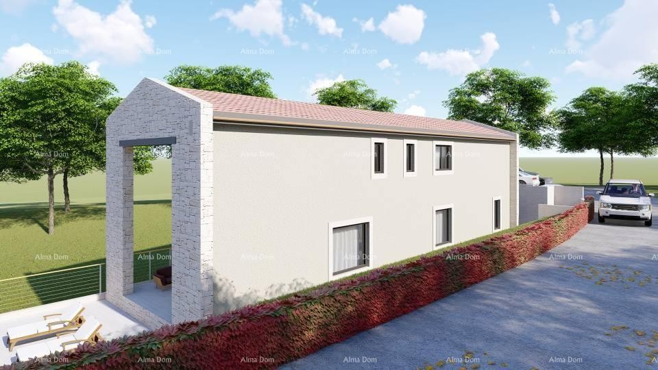 Plot Sveta Nedelja 4