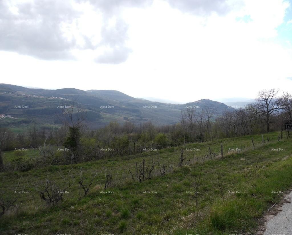 Plot Pazin 5