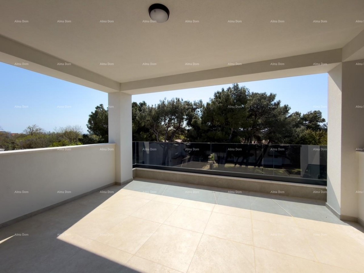 The translation of the title 11