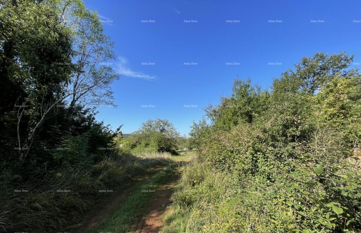 Prodaja - kamena istrska kuća za renovaciju s velikim zemljištem, Oprtalj! 7