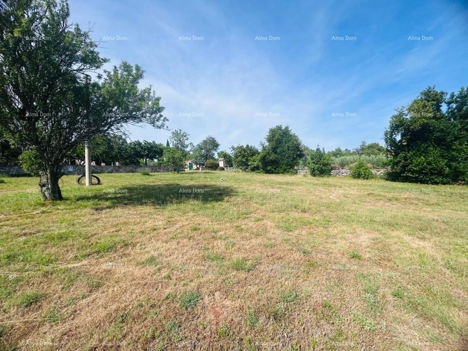 Буе – Самостоятельный дом с оливковым садом и строительным участком 11