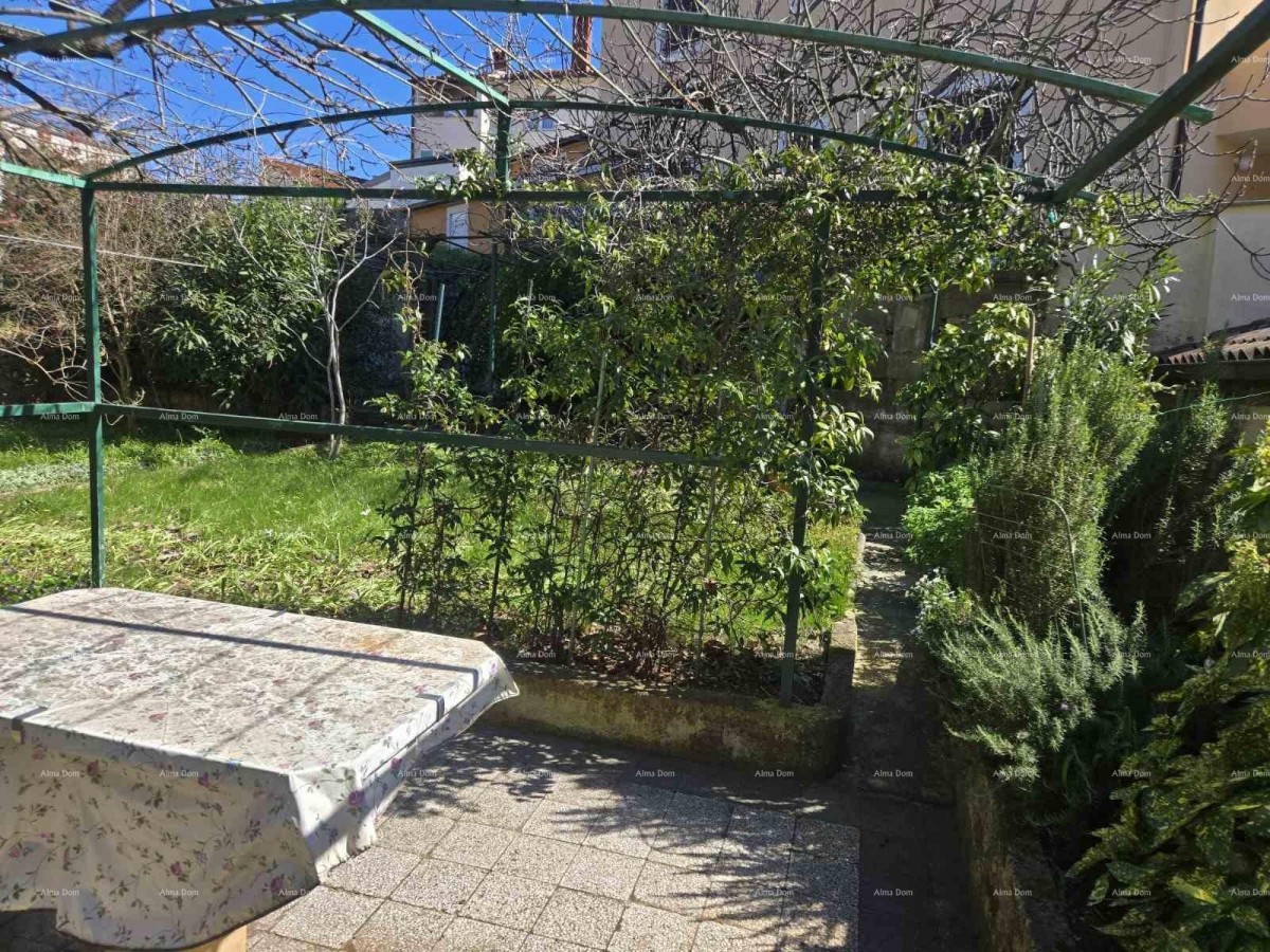 Каштание – дом с двумя отдельными квартирами, гаражом и садом площадью 250 м2 - продажа! 9