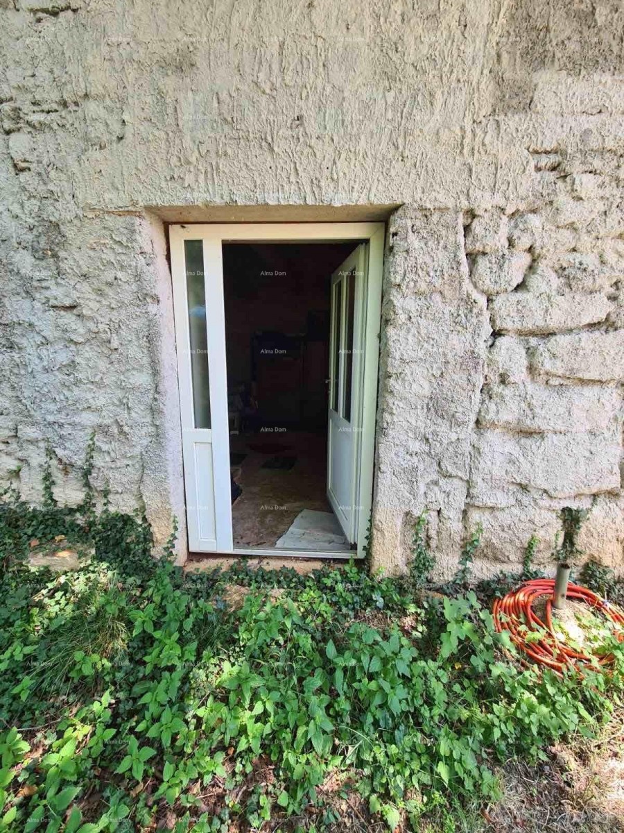 A house with a yard and a large plot of land for sale, Barban 22