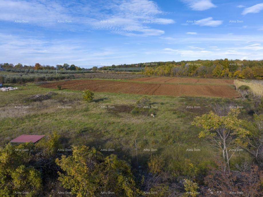 Пореч – 4 строительных участка (800–900 м²) в тихом месте 1