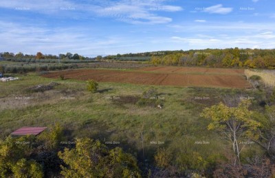 Poreč – 4 građevinske parcele (800–900 m²) na mirnoj lokaciji