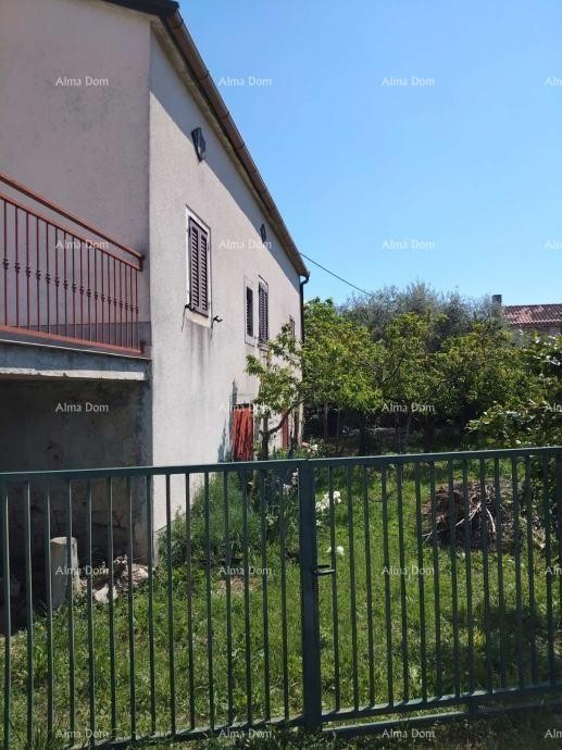 Brtonigla, Samostojeća kuća s okućnicom – za renovaciju 5