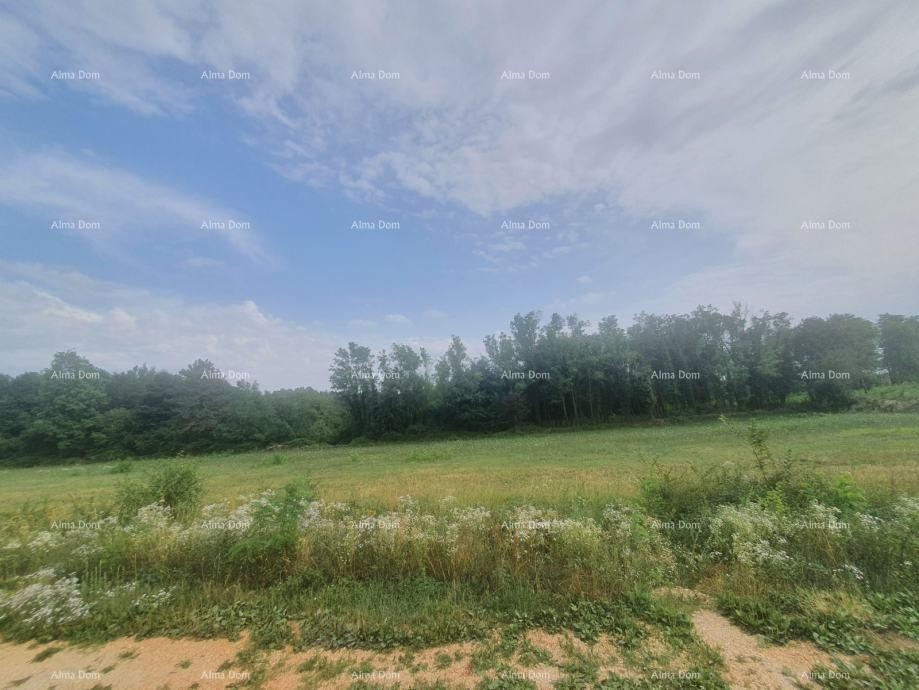 VIŠNJAN – ATRAKTIVNO GRAĐEVINSKO ZEMLJIŠTE S POGLEDOM, 2.588 m² 1