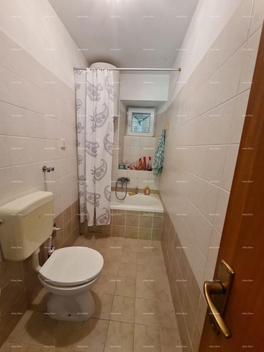 A house with a yard and a large plot of land for sale, Barban 18