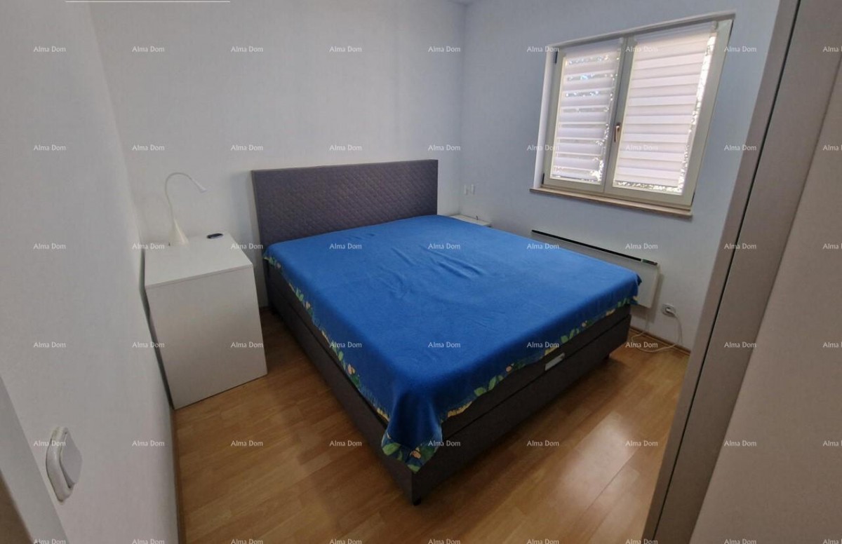 Appartamento Novigrad 4