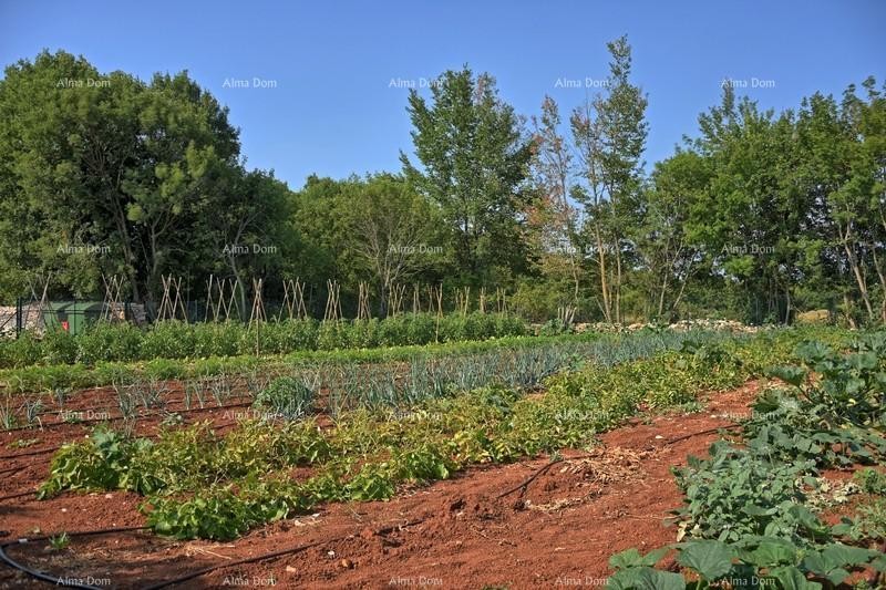 Beautiful modern stone house near Kanfanar 25