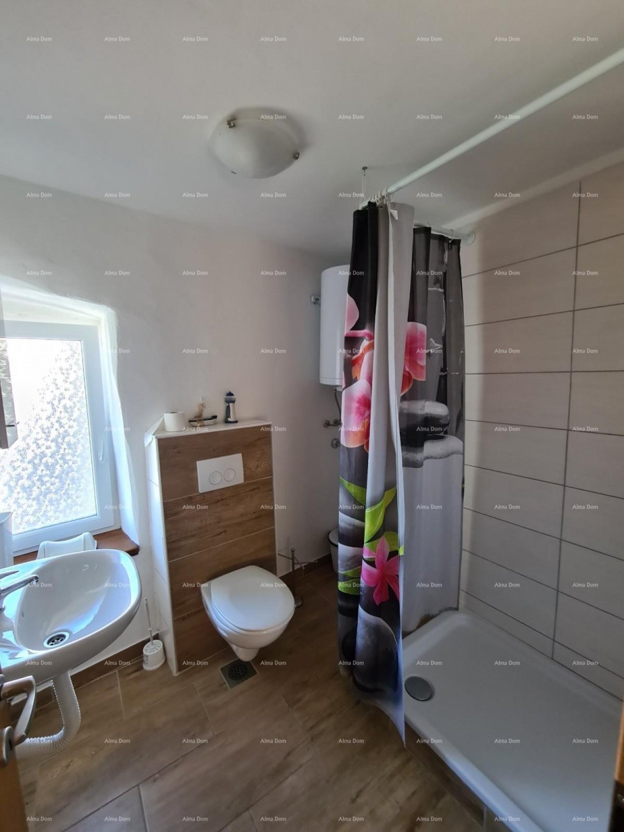 Ližnjan, Istrian renovated house! 48