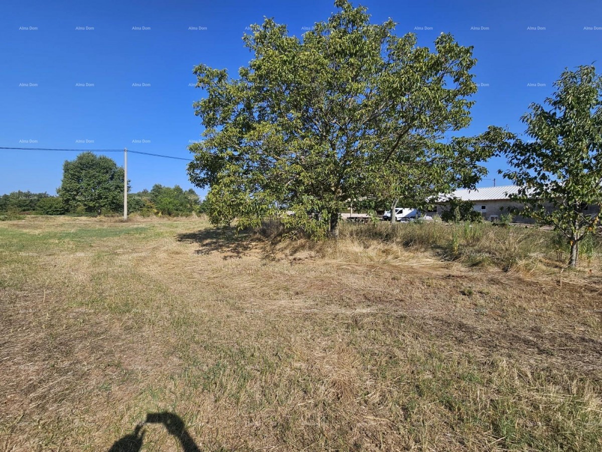 Prodaja građevinskog zemljišta, Žminj 2