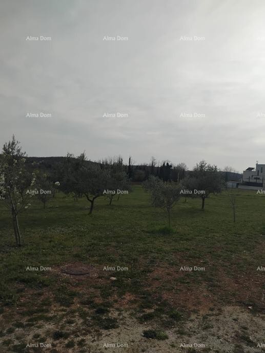 Atraktivno zemljište, 5.716 m²,okolica Poreča 2