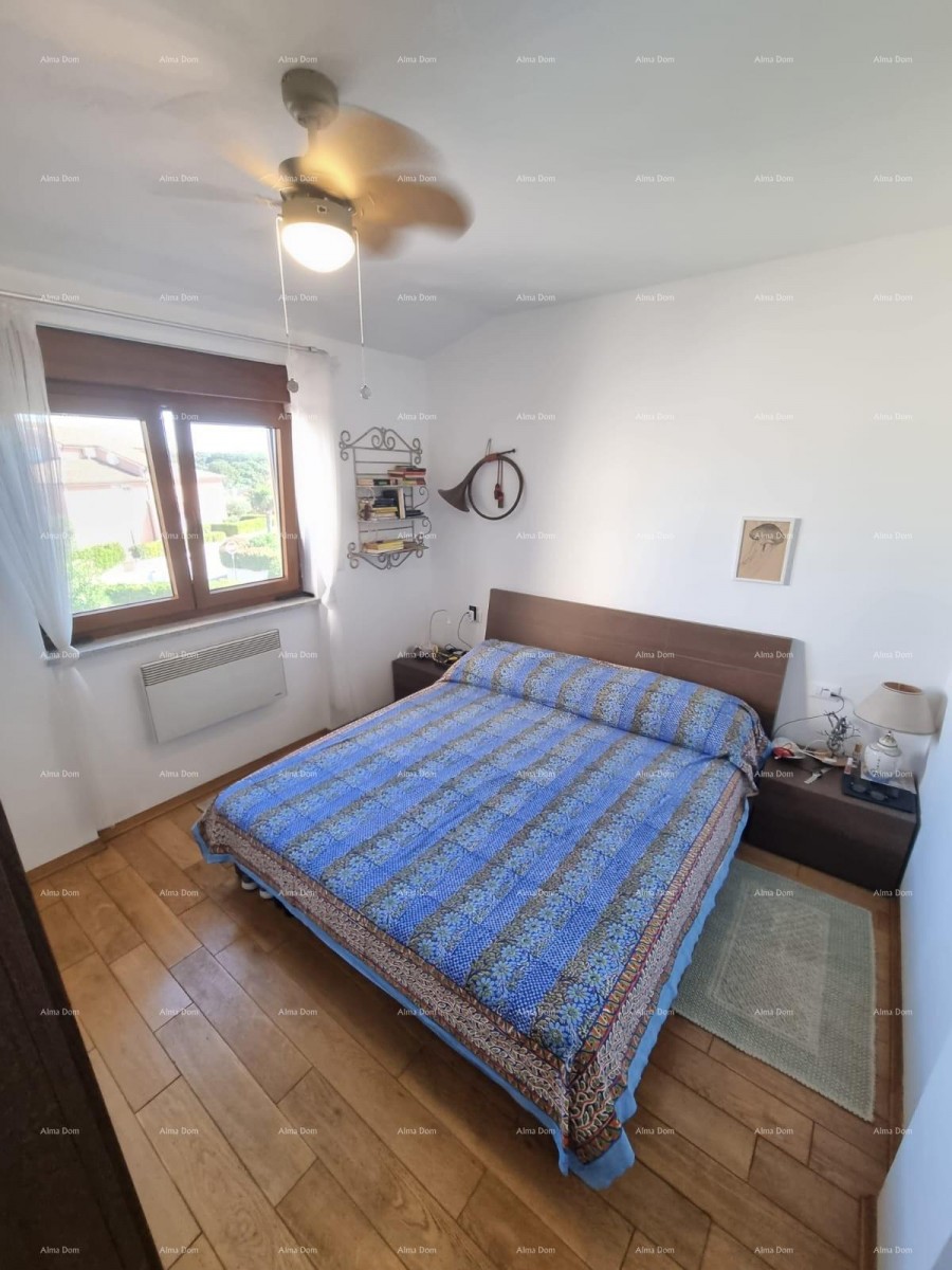 Vendita esclusiva! 12