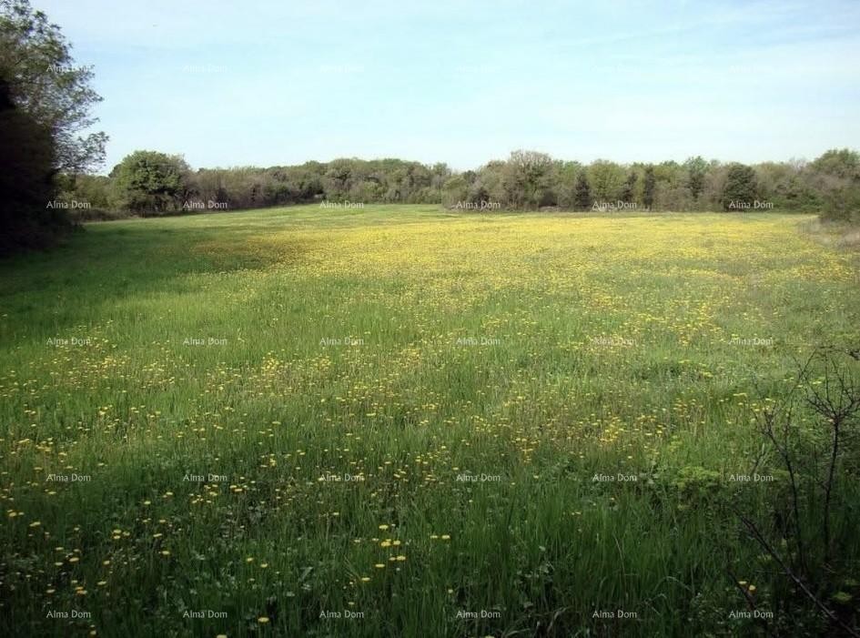 Investment Opportunity! Sale of Construction Land for Tourism and Hospitality Purposes - T Zone, Ližnjan! 4