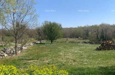 Building land of 785 m2 near Višnjan – project for a villa with a pool