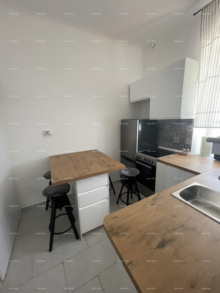Furnished apartment 45 m2 on the ground floor in the center of Pula 10