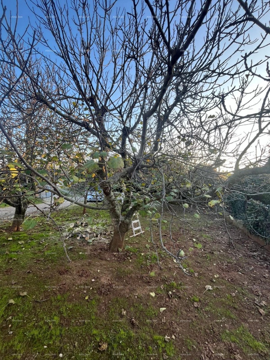 Prodaja samostojeće kuće u Fažani. 20