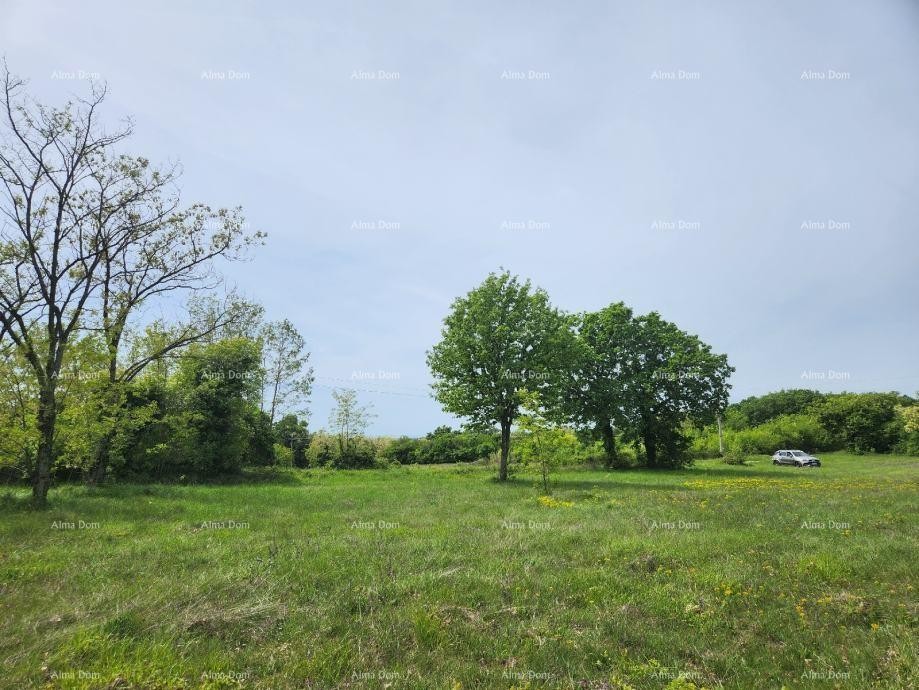 POREČ - Prodaje se građevinsko zemljište, 12000m2 3