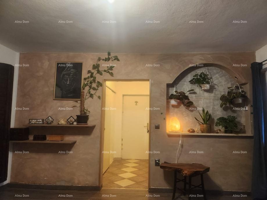 PRODAJA DVA STANA V PRIZIDJU HIŠE Z VRTOM 3