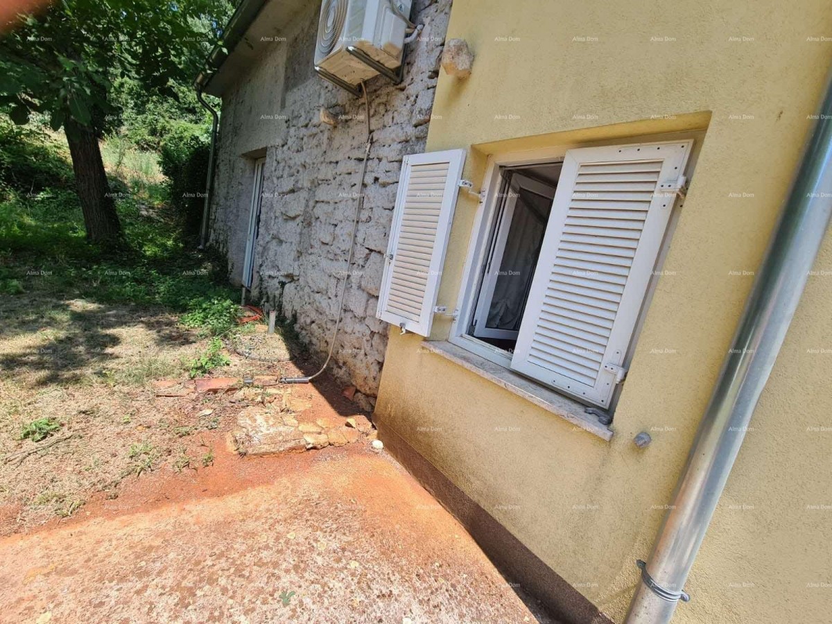 A house with a yard and a large plot of land for sale, Barban 23