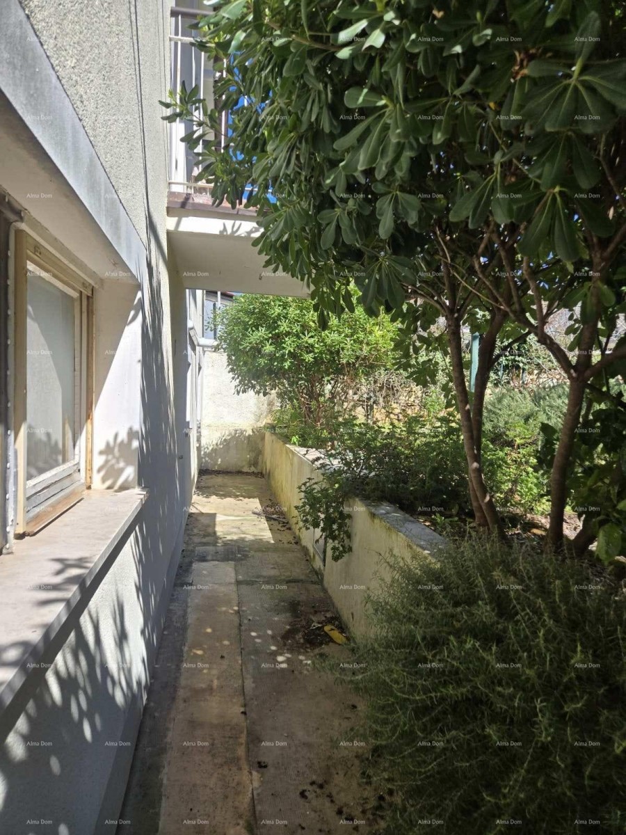 Каштание – дом с двумя отдельными квартирами, гаражом и садом площадью 250 м2 - продажа! 1