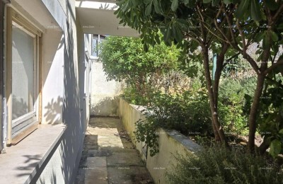 Каштание – дом с двумя отдельными квартирами, гаражом и садом площадью 250 м2 - продажа!