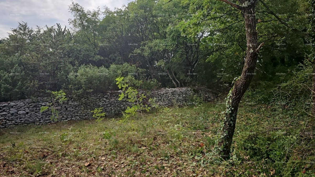 Građevinsko i poljoprivredno zemljište u blizini Svetvinčenata: 11100 m² za vašu investiciju 1